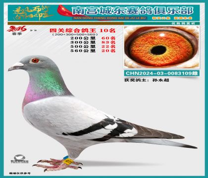 �Ĺظ���10��