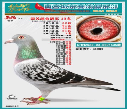 �Ĺظ���13��