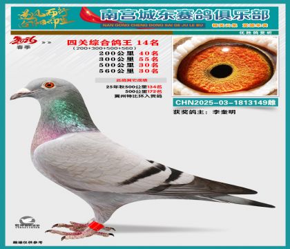 �Ĺظ���14��