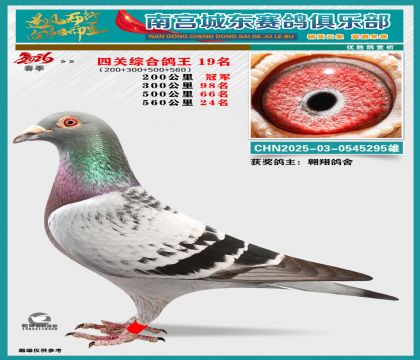 �Ĺظ���19��