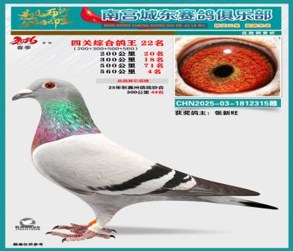 �Ĺظ���22��