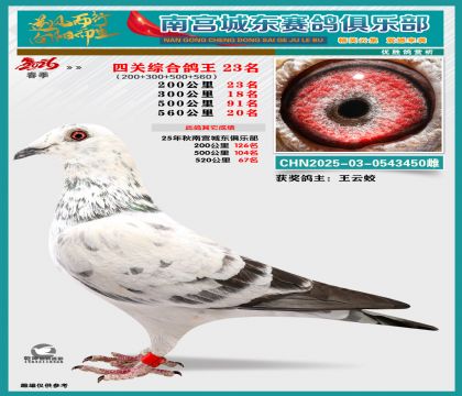 �Ĺظ���23��