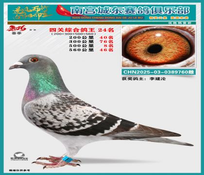 �Ĺظ���24��