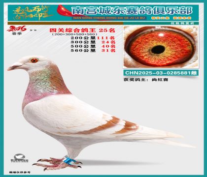 �Ĺظ���25��