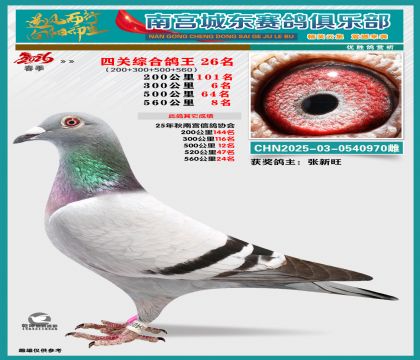 �Ĺظ���26��