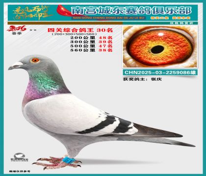 �Ĺظ���30��