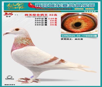 �Ĺظ���32��