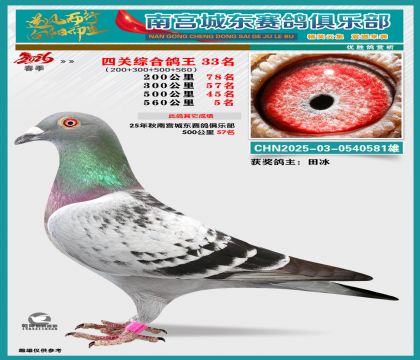�Ĺظ���33��