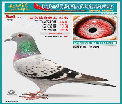 �Ĺظ���35��