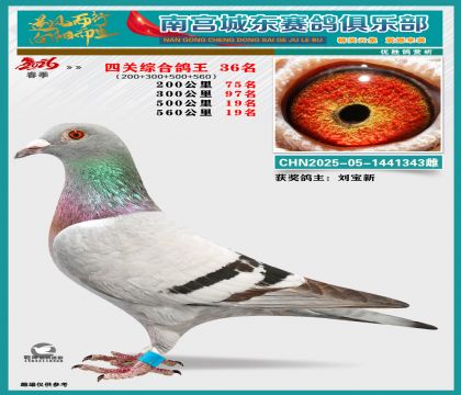 �Ĺظ���36��
