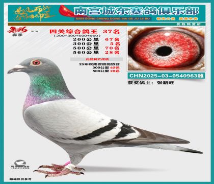 �Ĺظ���37��