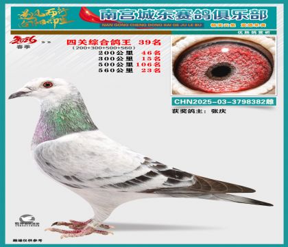 �Ĺظ���39��