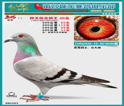 �Ĺظ���40��