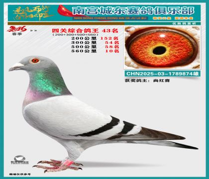 �Ĺظ���43��