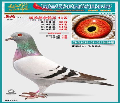 �Ĺظ���44��