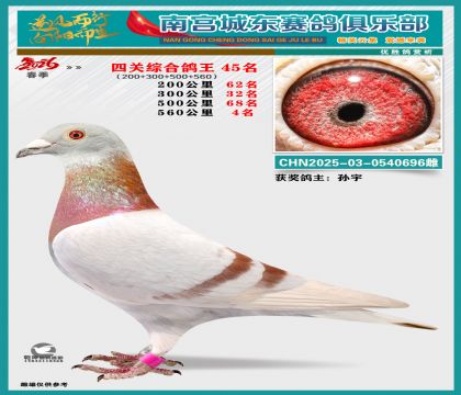 �Ĺظ���45��