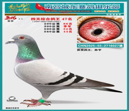 �Ĺظ���47��