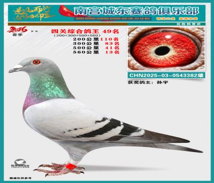 �Ĺظ���49��