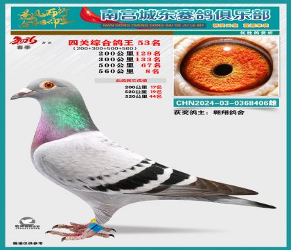 �Ĺظ���53��