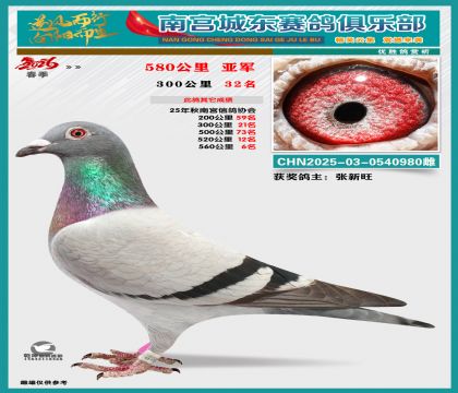 580�����Ǿ�