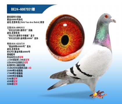�Ͽ�.���ǲ��ˡ���ѻ��ض���Ѫ��