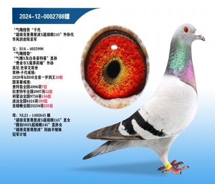 ������ᡰ���Ǹ�³�Ӵ���