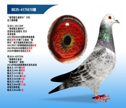 ����ѩ�������ض����Ӵ�