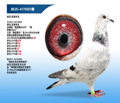�Ͽ�.���ǲ��ˡ��������669��Ѫϵ