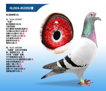 ��.������˹��Ů����ֱ�ӡ�