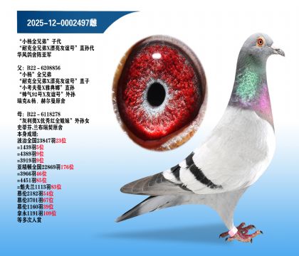 ������ᡰС��ȫ�ֵܡ��Ӵ�