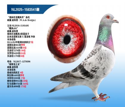 ����.�ϲ�����쫷�������