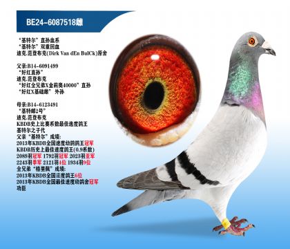 �Ͽ�.���ǲ��ˡ����ض�˫�ػ�Ѫ��