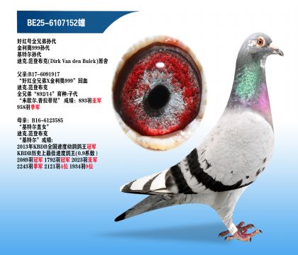 �ú��ȫ�ֵܡ��Ͽ�.���ǲ���ԭ�ᡱ