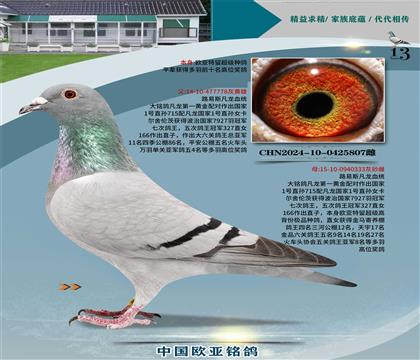 ·��˹����778X����333����