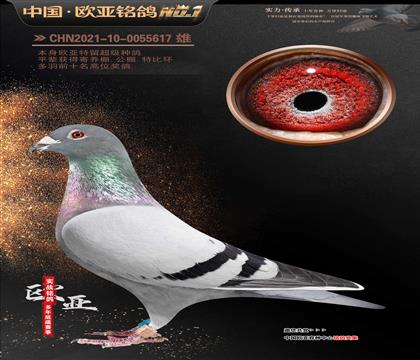 ���Ը�����926X767