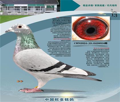 ����499XС�ھ�239�ƽ����