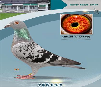 ղɭ251ֱ��326X766ֱŮ848