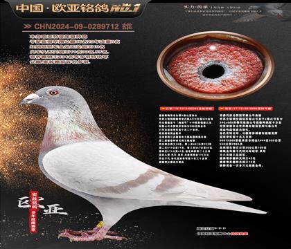 �������Ĺظ���ʮ��293X̩ɽ988