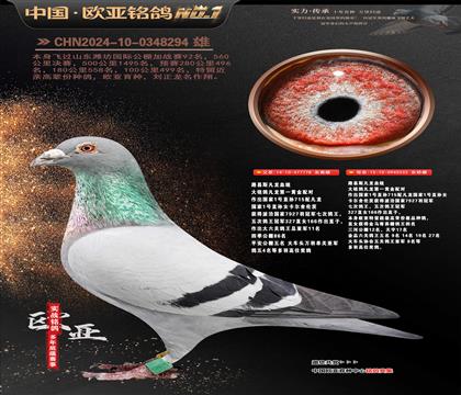 ·��˹����778X����333����