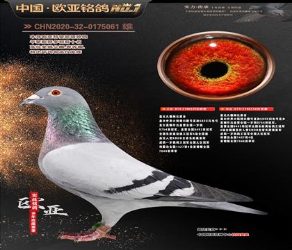 �Ǳ�ԭ��ʼһ�ֱ��329X�ʼһ�ֱŮ358����