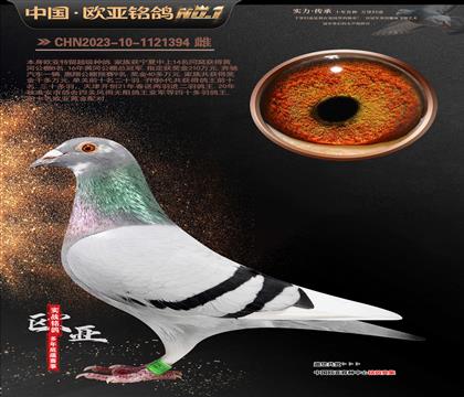 ����ɣ��ʿ�����ֹ�888XֱŮ239С�ھ�����