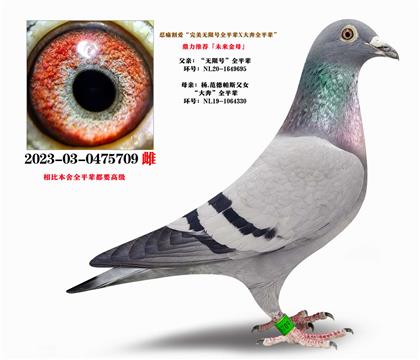 �����Ƽ��������޺š�ȫƽ��X���󱼡�ȫƽ��