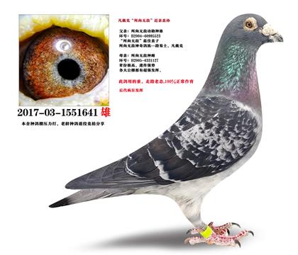 �����ˡ������޵С�ֱ��