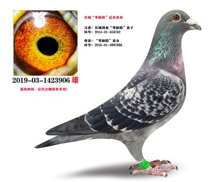 ���Ǹ�ҵ����ȱ�ݡ������ָ�