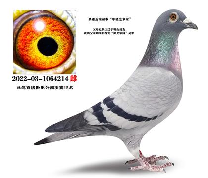 ���������������ҡ����ؽ��׸�ĸ�����԰���������