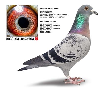 �����ˡ������޵С���������X�������޵С�����ֱ��