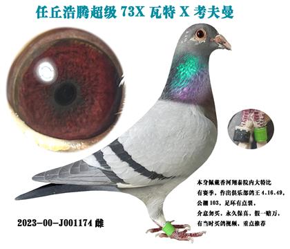 �����ص��Ƽ����������