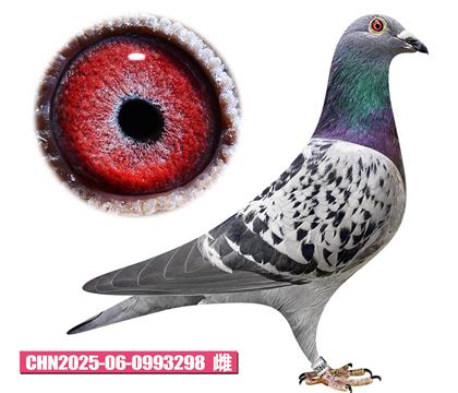 ������-�Ͽ˹���298