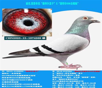 (重点推荐)范登布克“基特尔”直子X“006”全姐妹