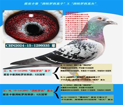 (重点推荐)爱亚卡普“涡轮罗西直子”X“涡轮罗西直女”